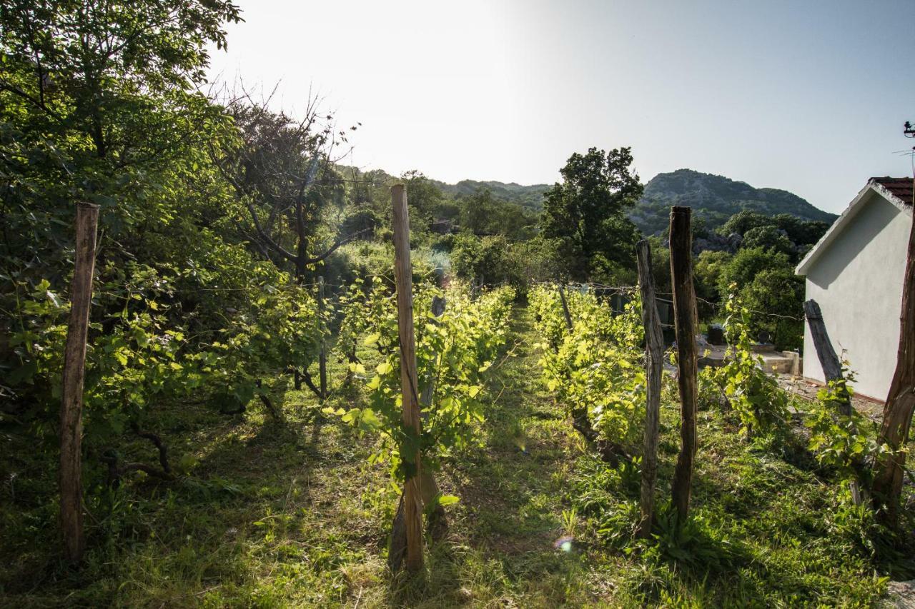 Banjo Rustic House Lake View Virpazar Dış mekan fotoğraf